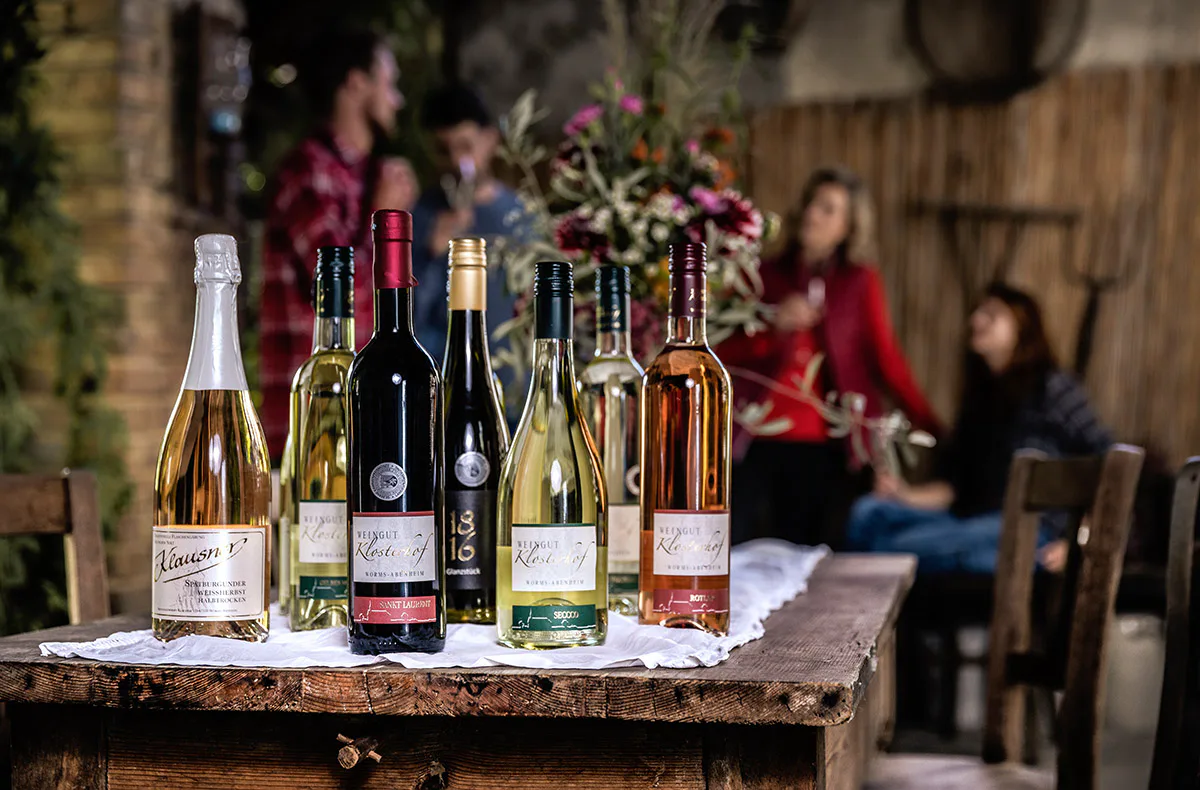 Weinbergwanderung mit Verkostung Worms - 2