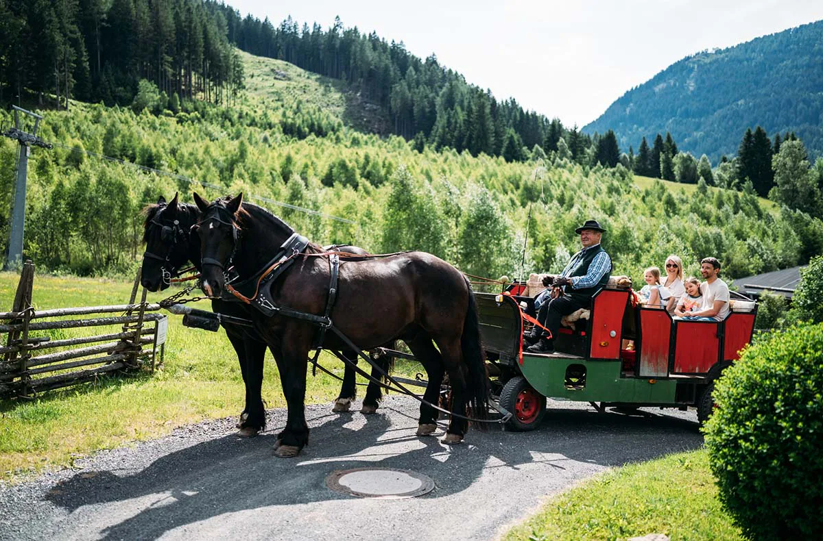 Wellness-Urlaub in Bad Kleinkirchheim für 2 (2 Nächte) - 8