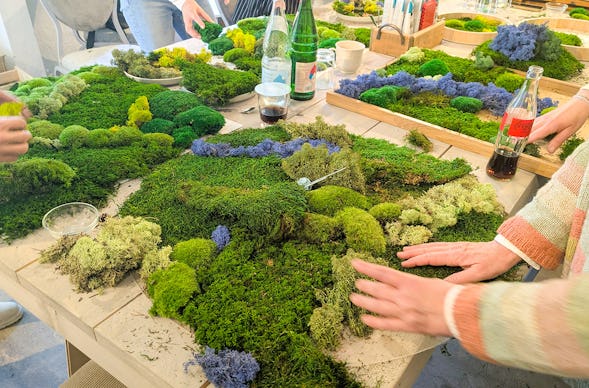 Workshop Bottrop (Moosbild)