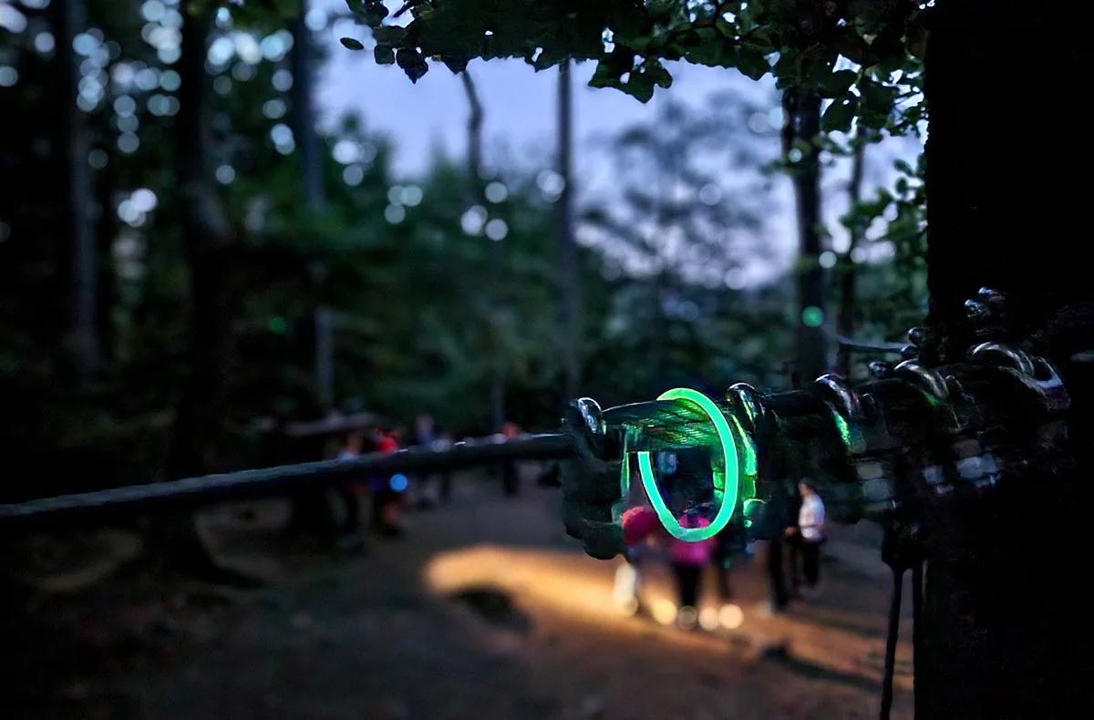 Ziplining bei Nacht im Pfälzerwald - 4